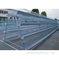 House z kurczakiem Cage